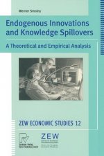 Endogenous Innovations and Knowledge Spillovers