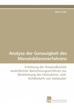 Analyse der Genauigkeit des Monatsbilanzverfahrens