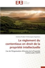 R glement Du Contentieux En Droit de la Propri t  Intellectuelle