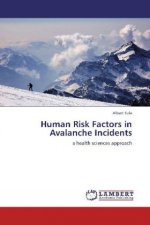 Human Risk Factors in Avalanche Incidents