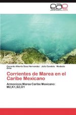 Corrientes de Marea En El Caribe Mexicano