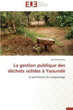 La Gestion Publique Des D chets Solides   Yaound