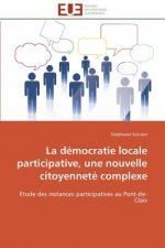democratie locale participative, une nouvelle citoyennete complexe