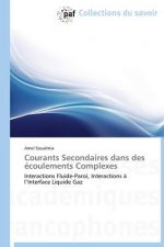 Courants Secondaires Dans Des Ecoulements Complexes