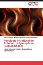 Fenologia intrafloral de Trifolium polymorphum (Leguminosae)