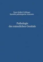 Pathologie des männlichen Genitale