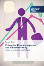 Enterprise Risk Management and Sarbanes-Oxley