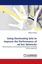 Using Dominating Sets to Improve the Performance of ad hoc Networks