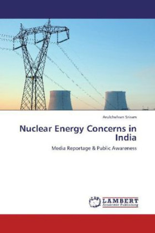 Nuclear Energy Concerns in India