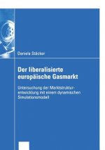 Liberalisierte Europaische Gasmarkt