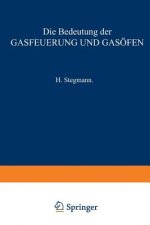 Die Bedeutung der Gasfeuerung und Gasöfen