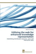 Utilizing the web for enhanced knowledge representation