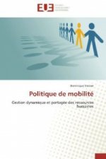 Politique de mobilité