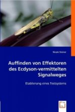 Auffinden von Effektoren des Ecdyson-vermitteltenSignalweges