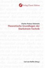 Theoretische Grundlagen der Starkstrom-Technik