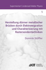 Herstellung dunner metallischer Brucken durch Elektromigration und Charakterisierung mit Rastersondentechniken