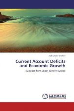 Current Account Deficits and Economic Growth