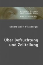 Über Befruchtung und Zellteilung