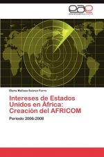 Intereses de Estados Unidos en Africa
