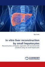 In vitro liver reconstruction by small hepatocytes