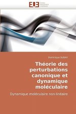 Theorie des perturbations canonique et dynamique moleculaire