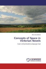 Concepts of Space in Victorian Novels