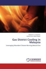 Gas District Cooling in Malaysia