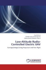 Low-Altitude Radio-Controlled Electric UAV