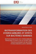 Biotransformation Des Hydrocarbures Et Effets Sur Bact ries Marines