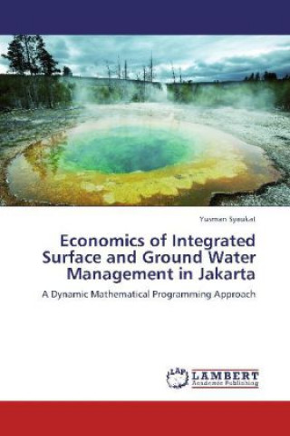 Economics of Integrated Surface and Ground Water Management in Jakarta