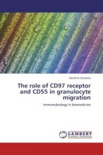 The role of CD97 receptor and CD55 in granulocyte migration