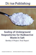 Sealing of Underground Respositories for Radioactive Waste in Salt