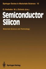 Semiconductor Silicon