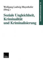 Soziale Ungleichheit, Kriminalitat Und Kriminalisierung