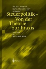 Steuerpolitik -- Von Der Theorie Zur Praxis