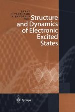 Structure and Dynamics of Electronic Excited States