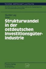 Strukturwandel in der Ostdeutschen Investitionsguterindustrie