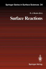 Surface Reactions