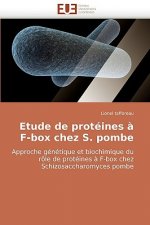 Etude de proteines a f-box chez s. pombe