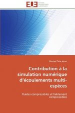 Contribution   La Simulation Num rique D  coulements Multi-Esp ces