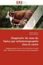 Diagnostic Du Sexe Du F Tus Par  chotomographie Chez La Vache