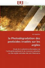 La Photod gradation Des Pesticides Irradi s Sur Les Argiles