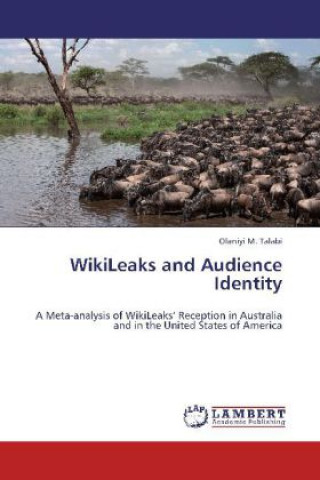 WikiLeaks and Audience Identity