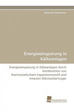 Energieeinsparung in Kalteanlagen