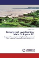Geophysical Investigation: Main Ethiopian Rift