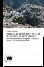 Reseaux de Distribution d'Eau Et d'Electricite En Zone Urbaine