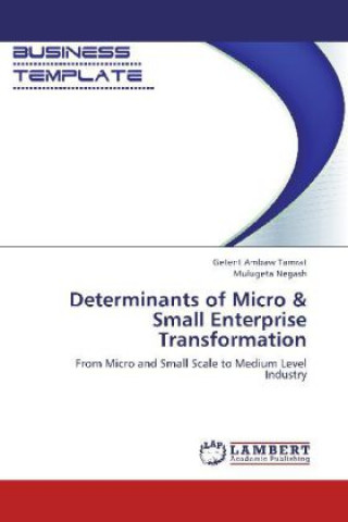 Determinants of Micro & Small Enterprise Transformation