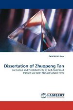 Dissertation of Zhuopeng Tan