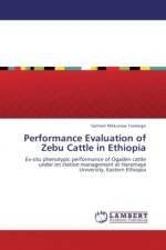 Performance Evaluation of Zebu Cattle in Ethiopia