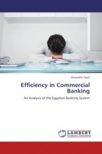 Efficiency in Commercial Banking